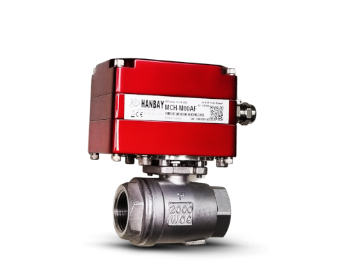 MDH-060DT24-3-H280F-SS-IP-R-100