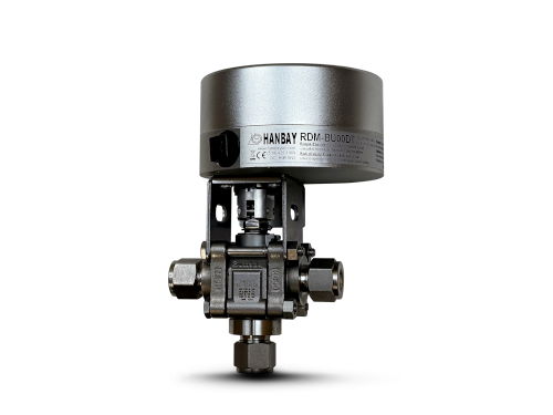 RDM-S-B00PT-3-SS-A63TS8